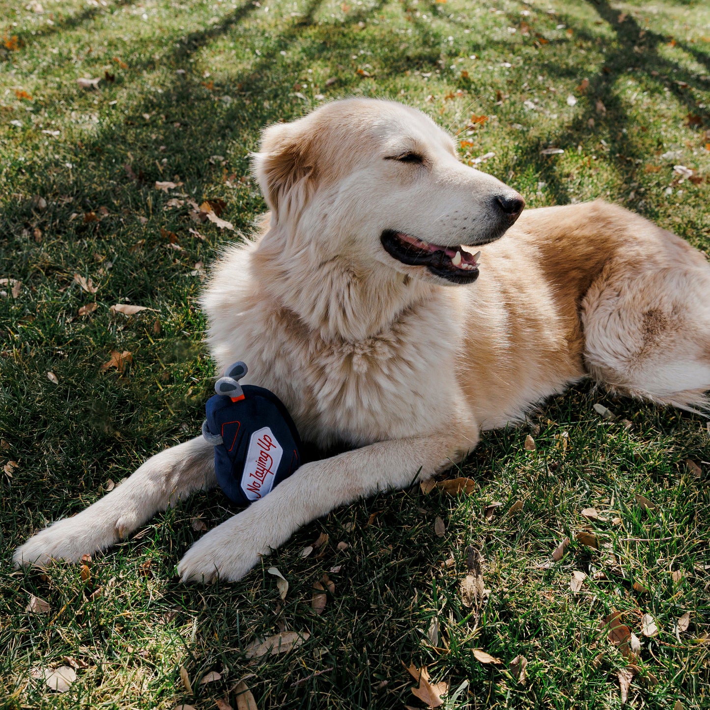 No Laying Up Plush Golf Bag Dog Toy | Navy