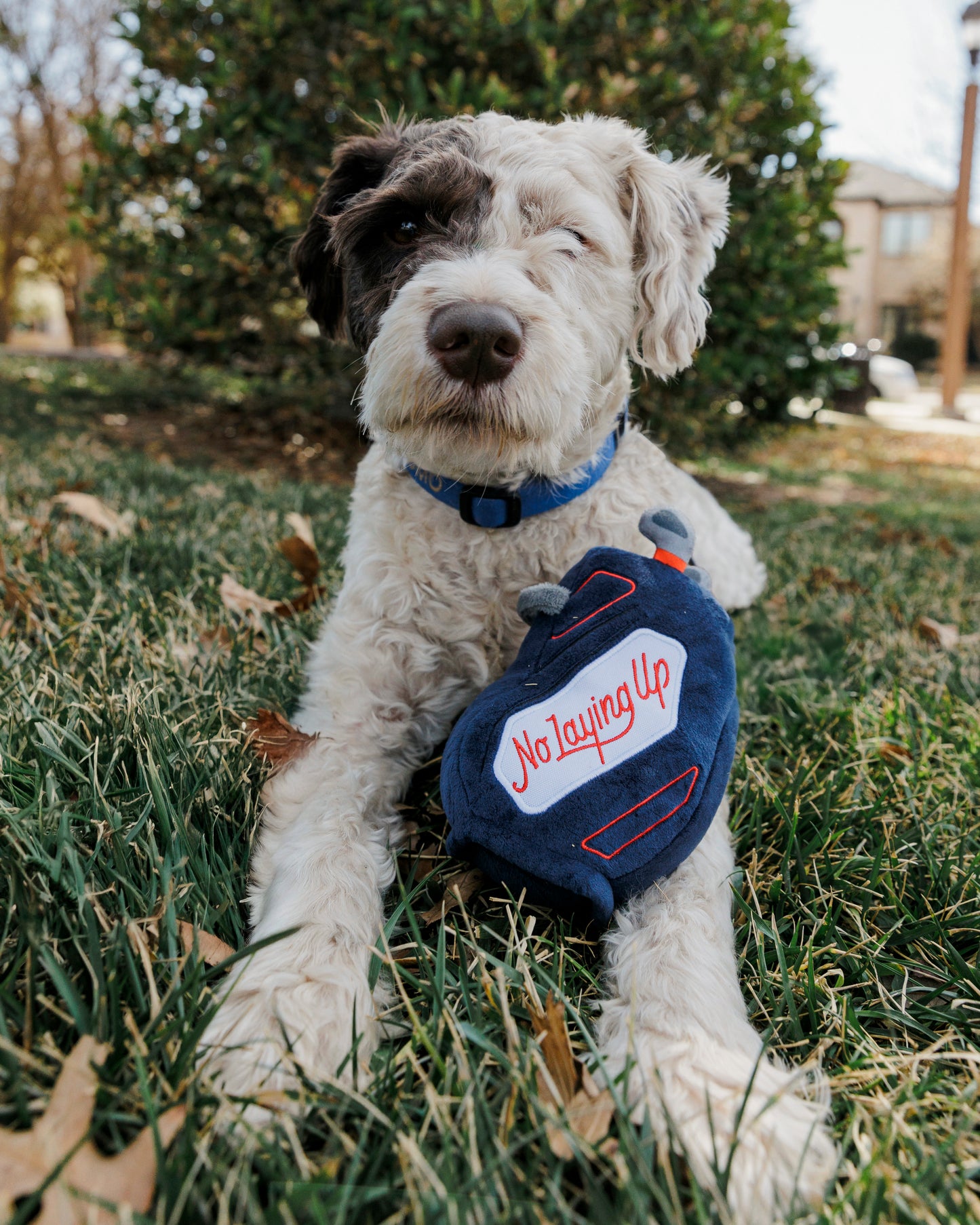 No Laying Up Plush Golf Bag Dog Toy | Navy