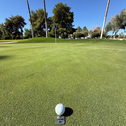 NLU x Seamus No Laying Up Cutout Ball Marker | Steel